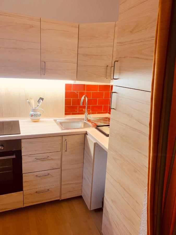 Apartament Studio Loisachtal Garmisch-Partenkirchen Zewnętrze zdjęcie