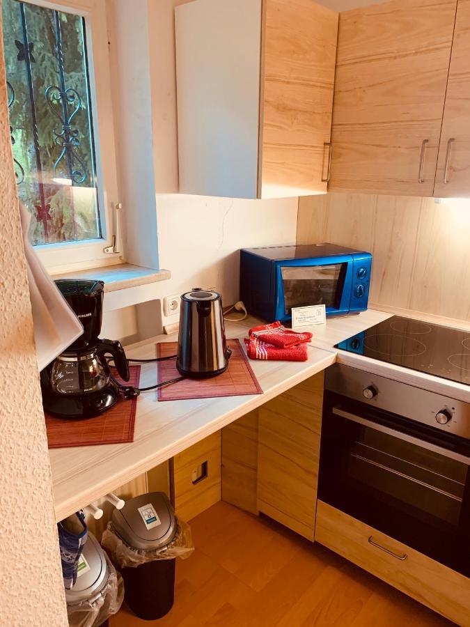 Apartament Studio Loisachtal Garmisch-Partenkirchen Zewnętrze zdjęcie